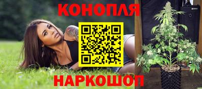 прущие грибы Волжск